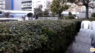 欧美一区二区三区新